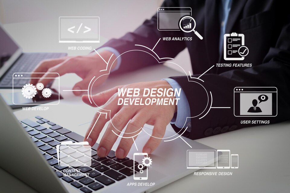 Web Tasarım Sertifikası